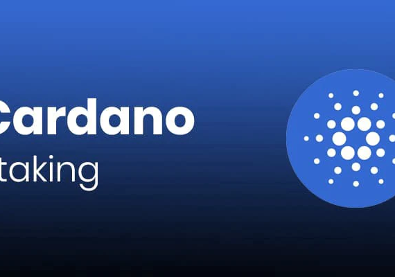 Cardano stake pool ranking: Top 5